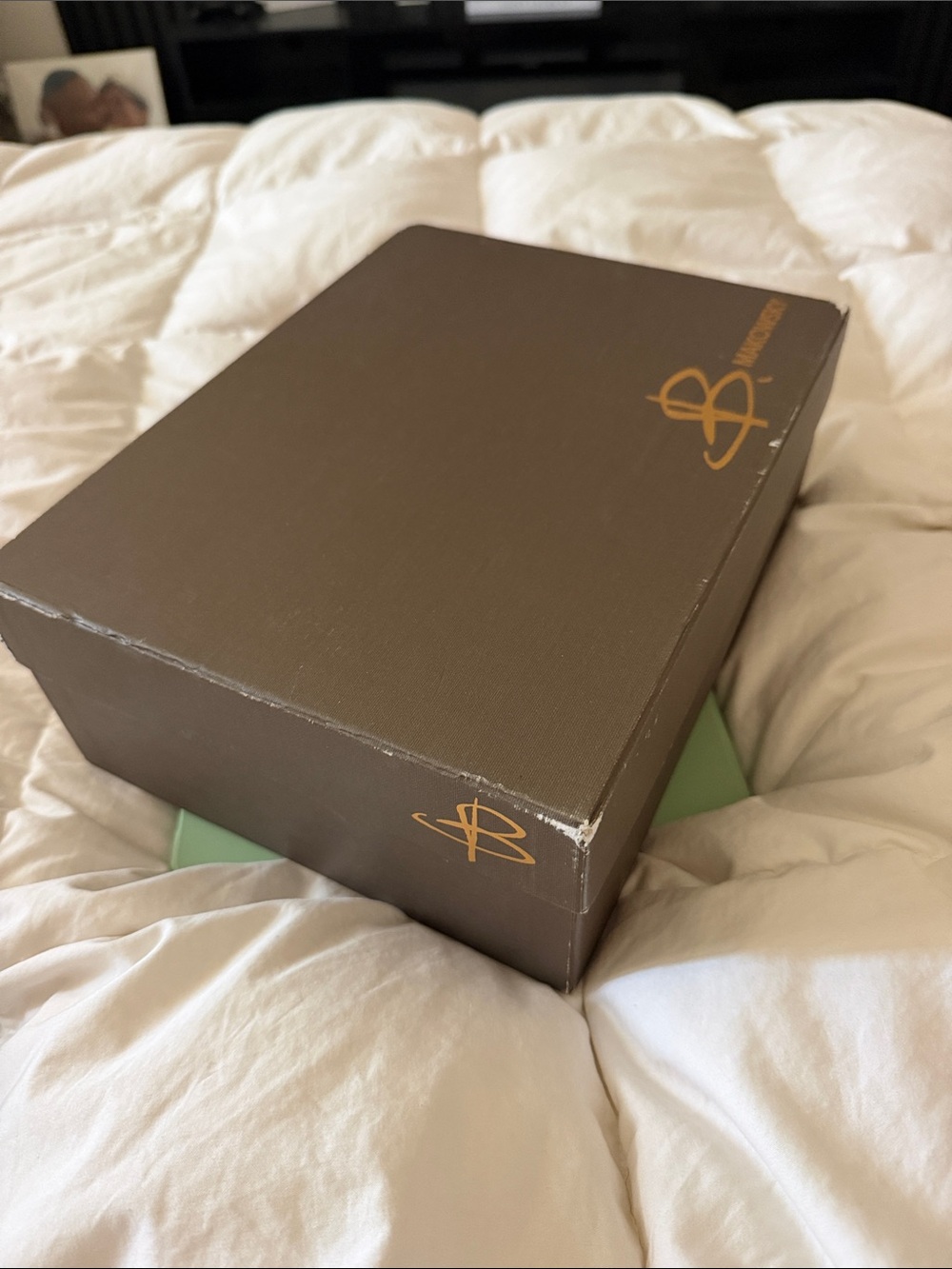 b. makowsky Brown and Gold Womens Sandal Box